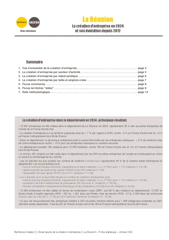 La création d'entreprise à La Réunion en 2024