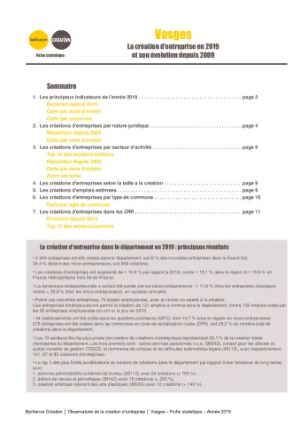 La création d'entreprise dans les Vosges en 2019