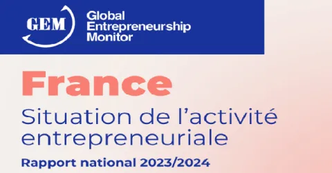 Rapport GEM France