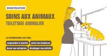 Dossier Projecteurs Toilettage animalier