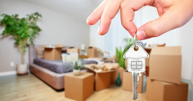 loueur en meublé pro - RCS