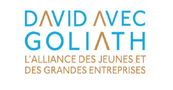 Prix David & Goliath