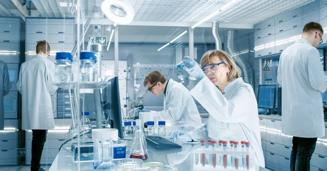 Le réseau SATT structure un programme national en faveur de l'entrepreneuriat des chercheuses