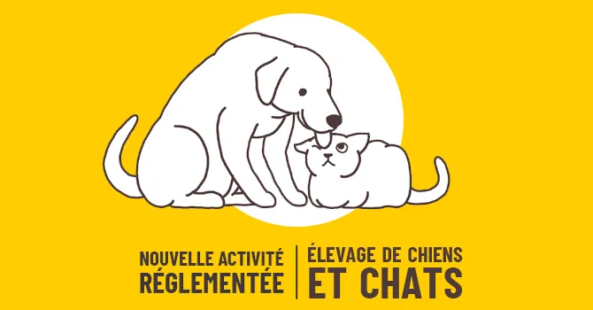 élevage de chiens et chats