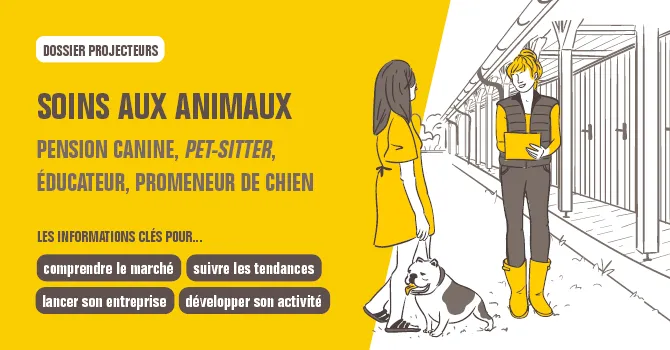 dossier Soins aux animaux, pension canine, pet-sitter, éducateur, promeneur de chien.