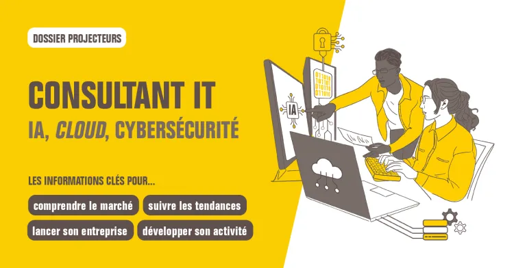 Dossier Projecteurs - Consultant IT