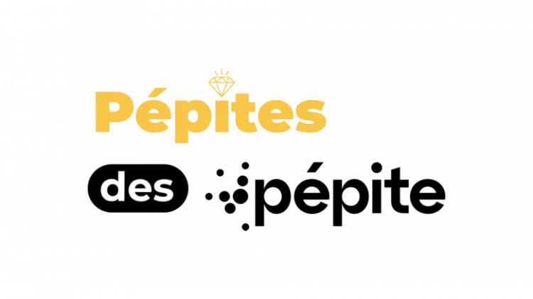 Visuel de Pépites des Pépite 2026 : appel à candidature