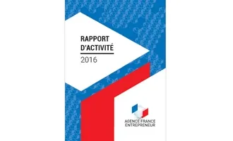 couv Rapport d'activité AFE 2016