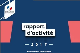 Rapport d'activité AFE 2017