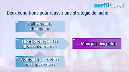 Xerfi Canal - La stratégie de niche