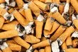 Mégots de cigarettes