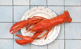 Homard