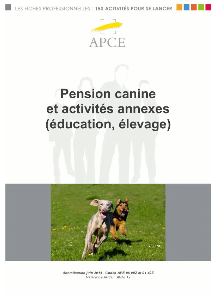 Dossier Projecteurs - Pension canine et activités annexes (éducation, élevage)