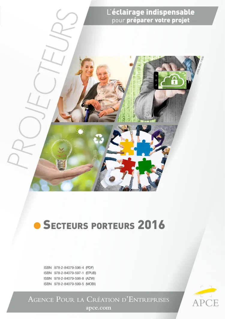 Dossier Projecteurs - Secteurs porteurs 2016