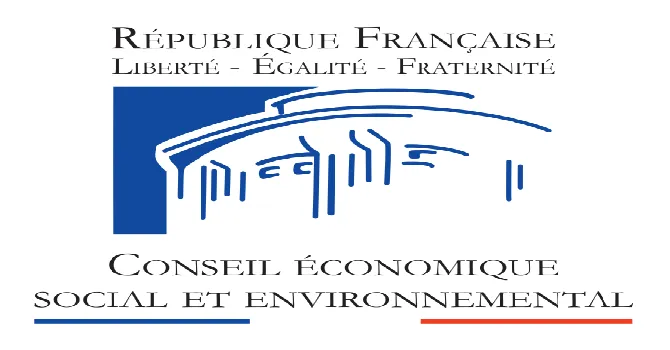 Conseil d'analyse économique social et environnemental