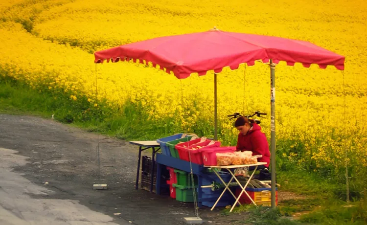Entreprendre en milieu rural