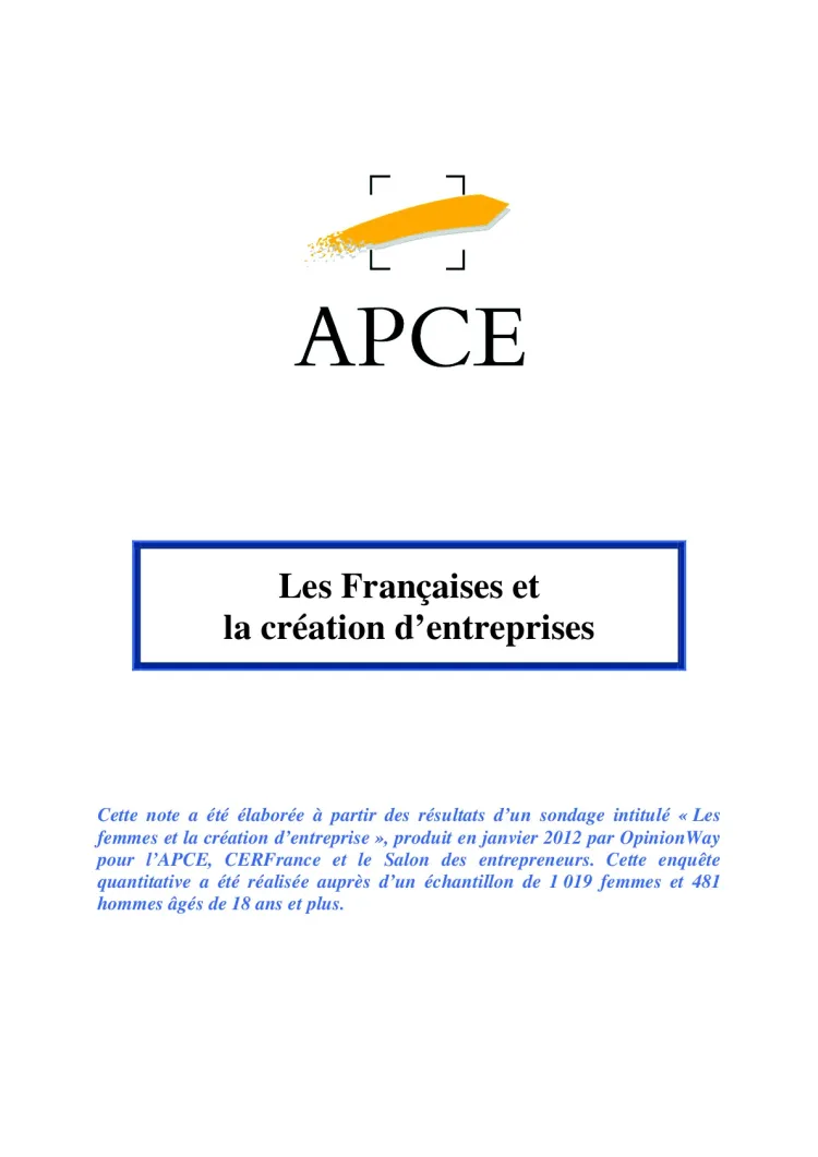 APCE : Les Françaises et la création d'entreprises (2012 - Analyse)