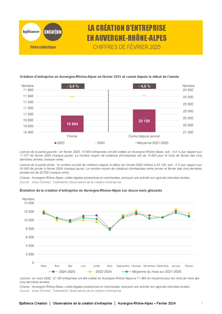La création d'entreprise en Auvergne-Rhône-Alpes en février 2025