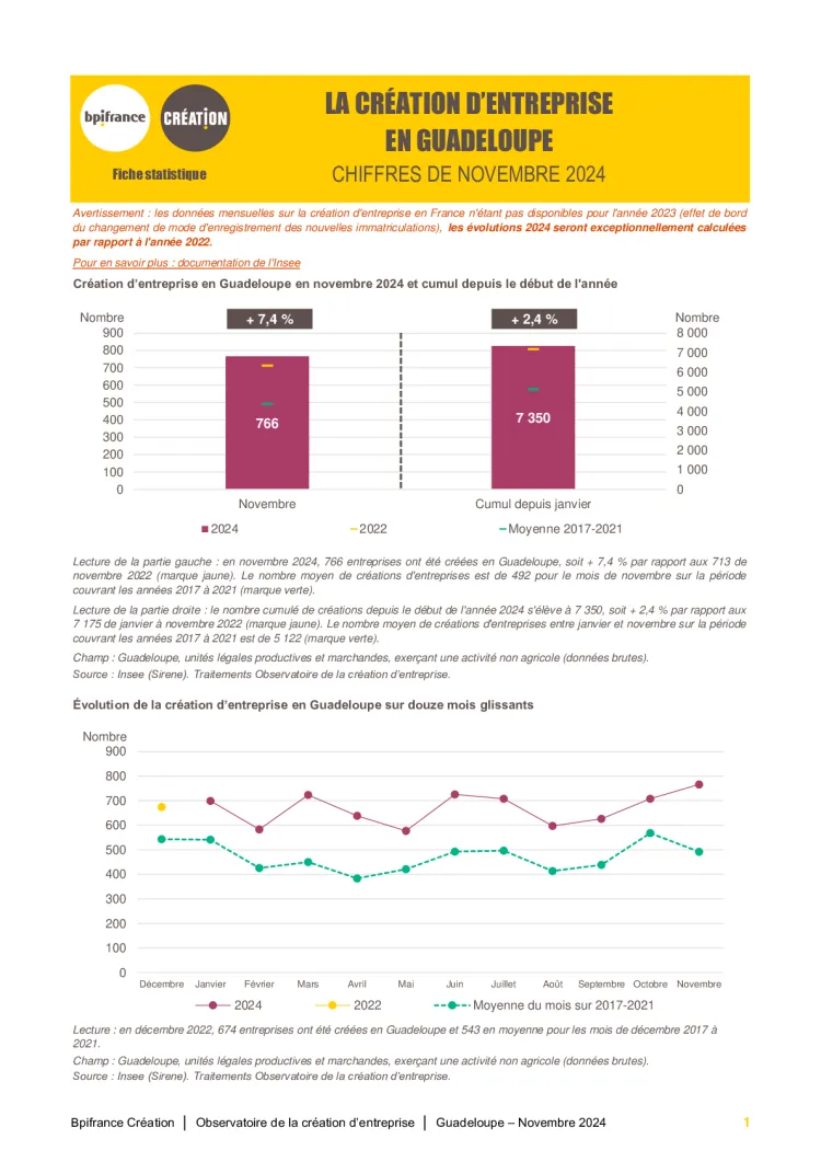 La création d'entreprise en Guadeloupe en novembre 2024