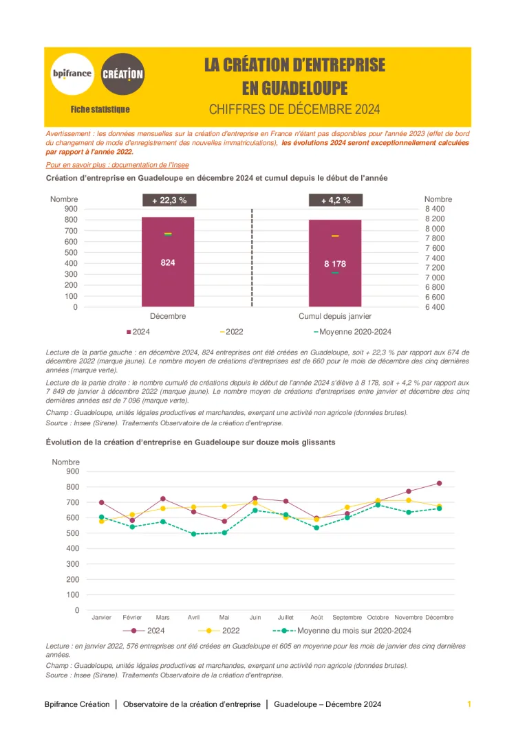 La création d'entreprise en Guadeloupe en décembre 2024