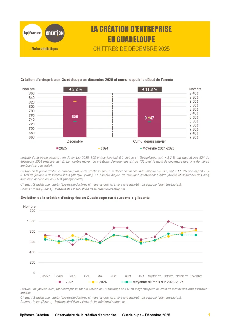 La création d'entreprise en Guadeloupe en décembre 2025