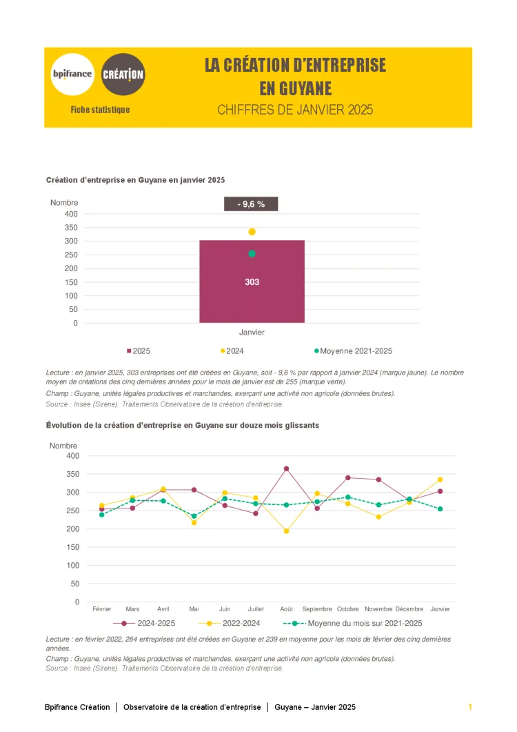 La création d'entreprise en Guyane en janvier 2025