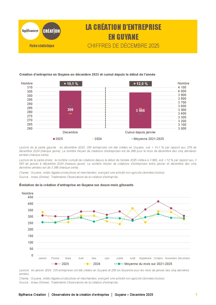 La création d'entreprise en Guyane en décembre 2025