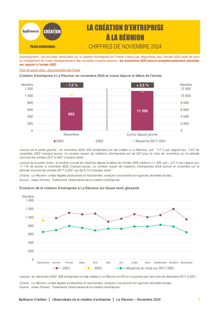 La création d'entreprise à La Réunion en novembre 2024
