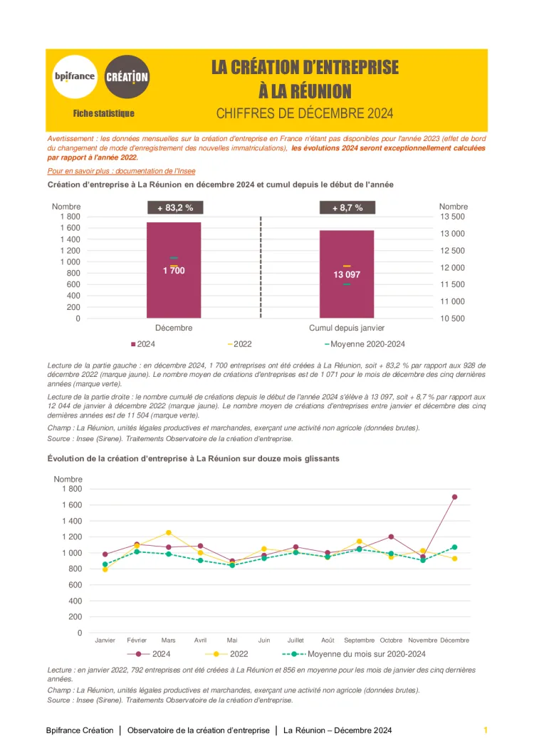 La création d'entreprise à La Réunion en décembre 2024