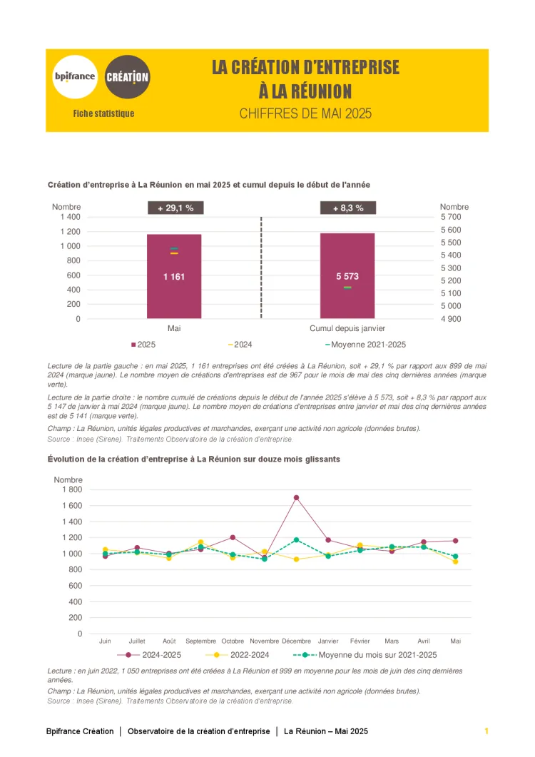 La création d'entreprise à La Réunion en mai 2025