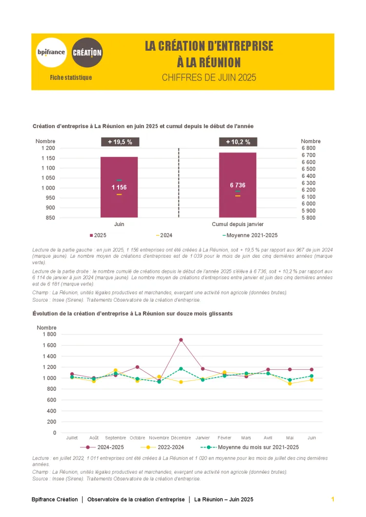 La création d'entreprise à La Réunion en juin 2025
