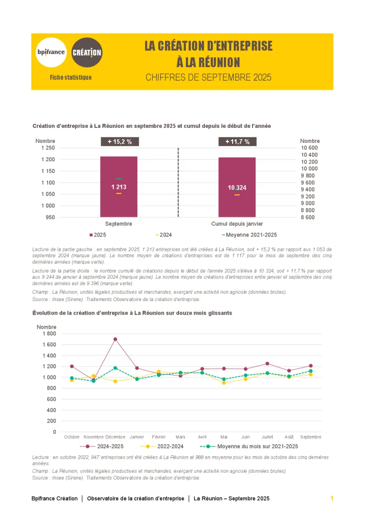 La création d'entreprise à La Réunion en septembre 2025