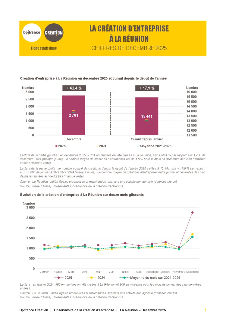 La création d'entreprise à La Réunion en décembre 2025