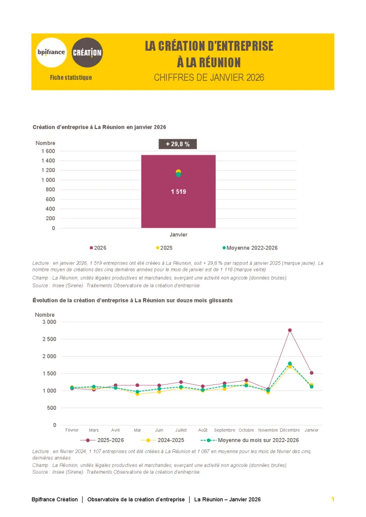 La création d'entreprise à La Réunion en janvier 2026