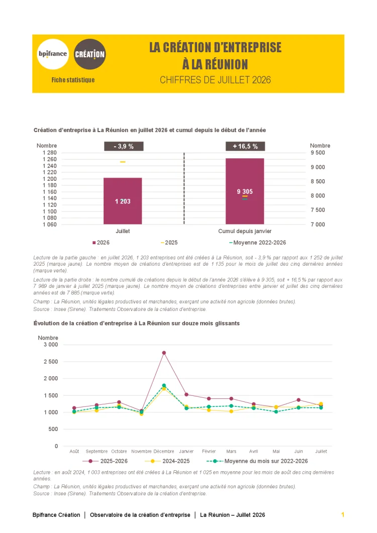 La création d'entreprise à La Réunion en juillet 2026
