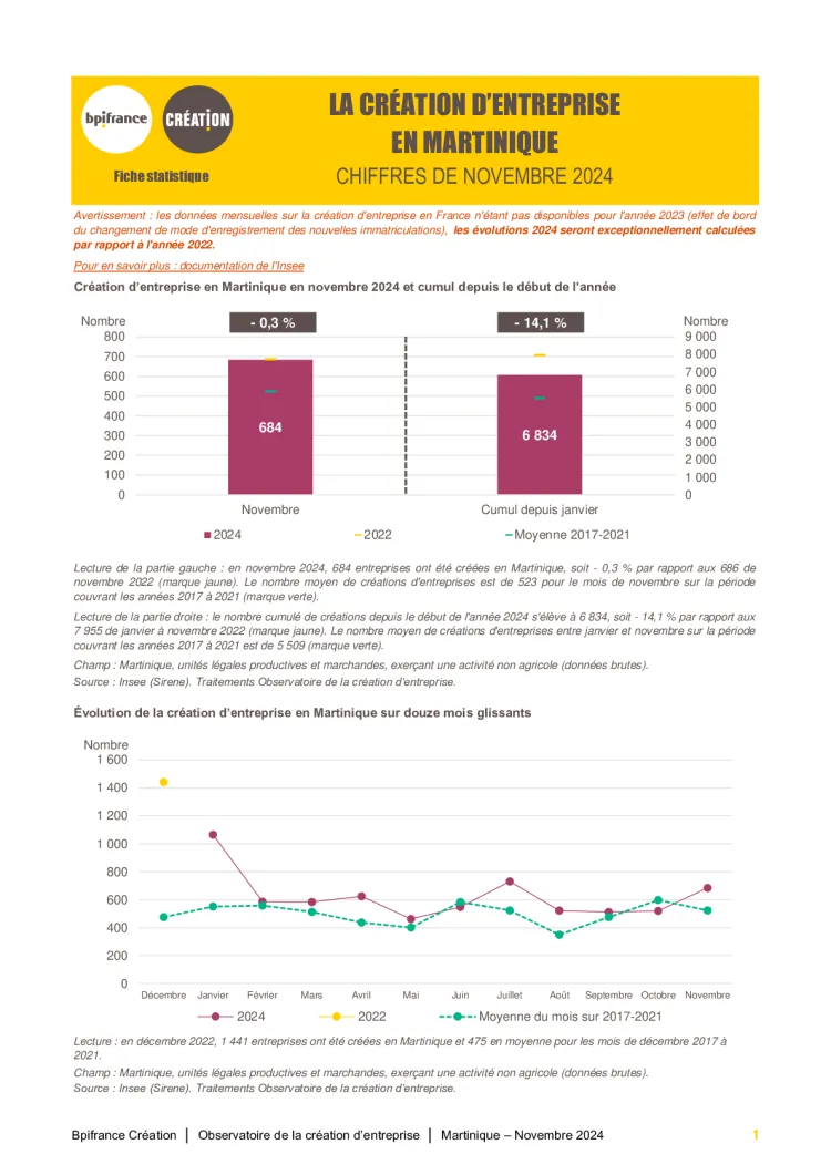 La création d'entreprise en Martinique en novembre 2024