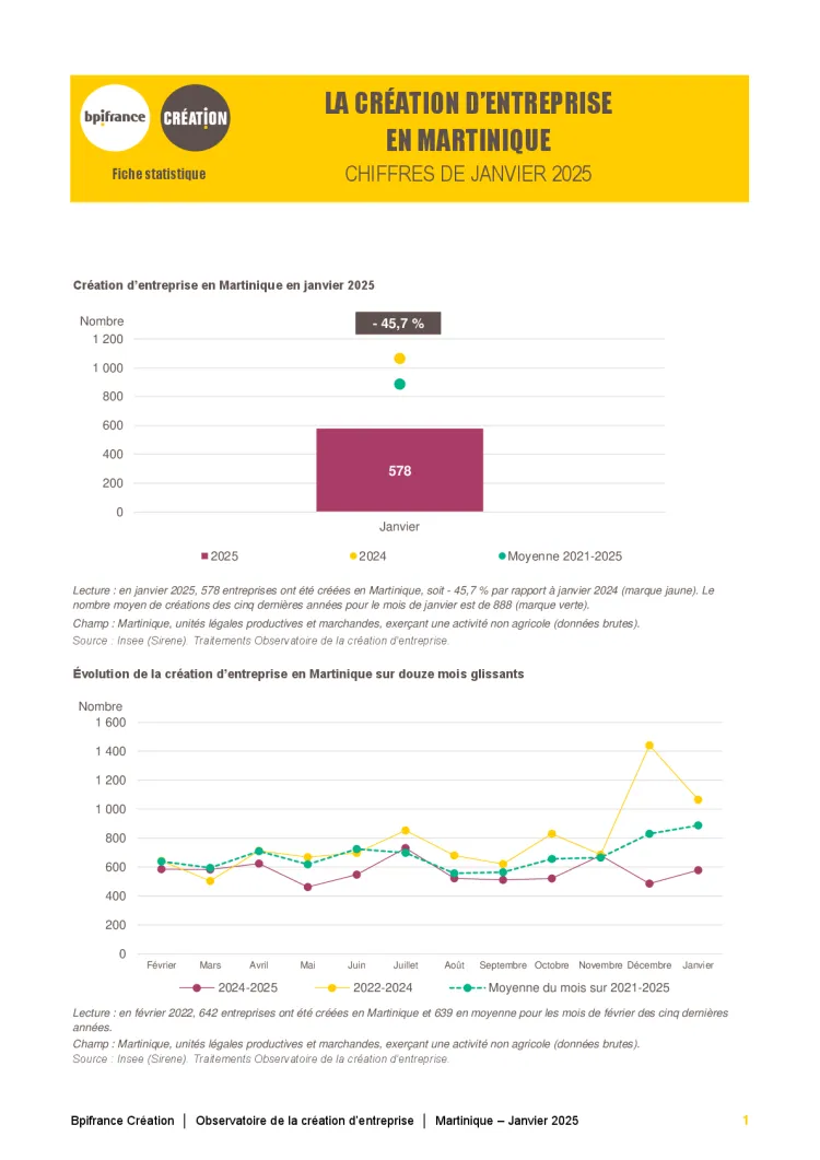 La création d'entreprise en Martinique en janvier 2025