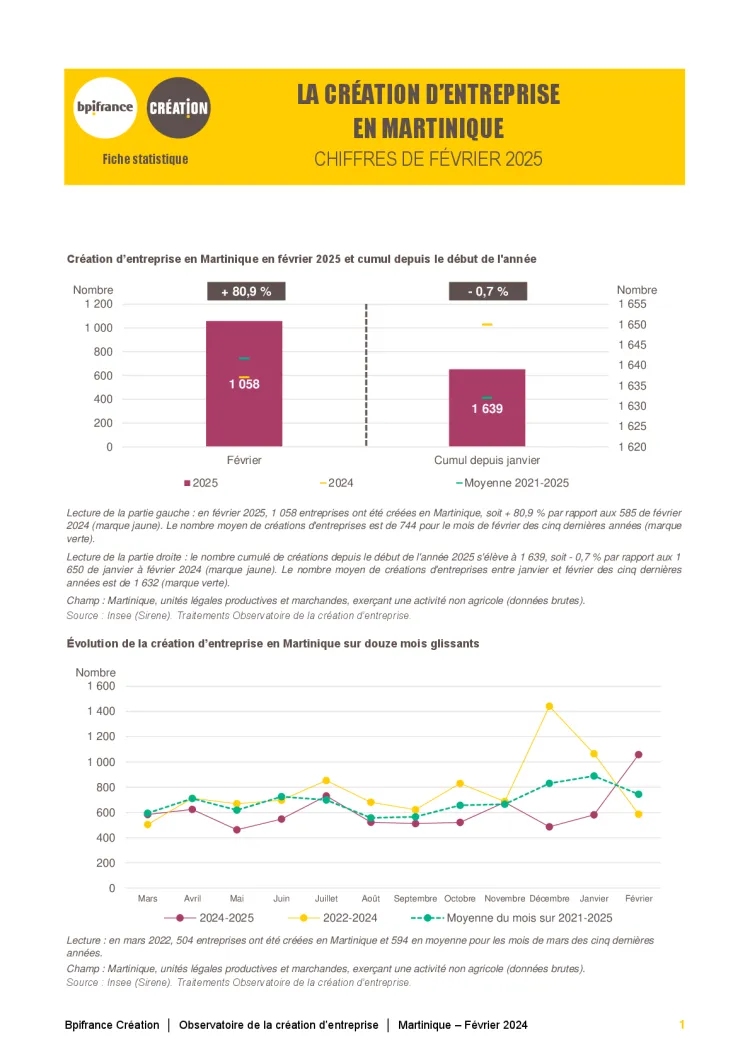 La création d'entreprise en Martinique en février 2025