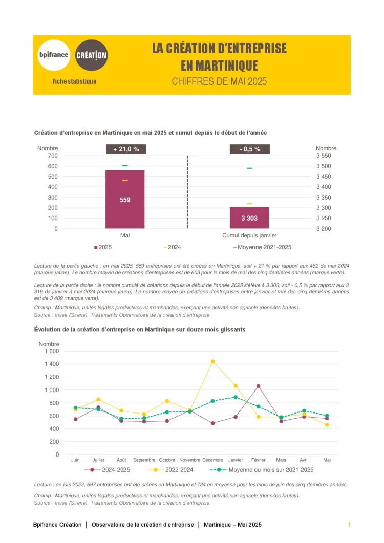 La création d'entreprise en Martinique en mai 2025