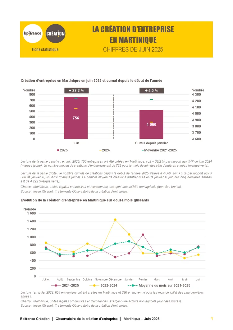 La création d'entreprise en Martinique en juin 2025