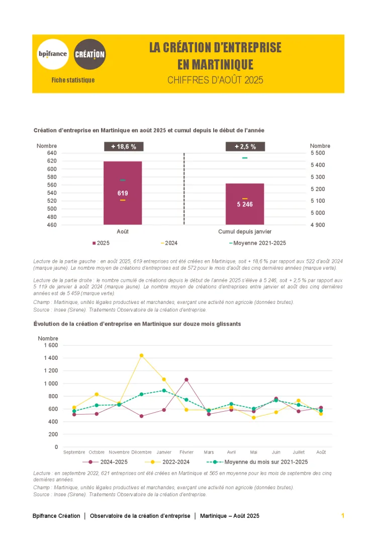 La création d'entreprise en Martinique en août 2025