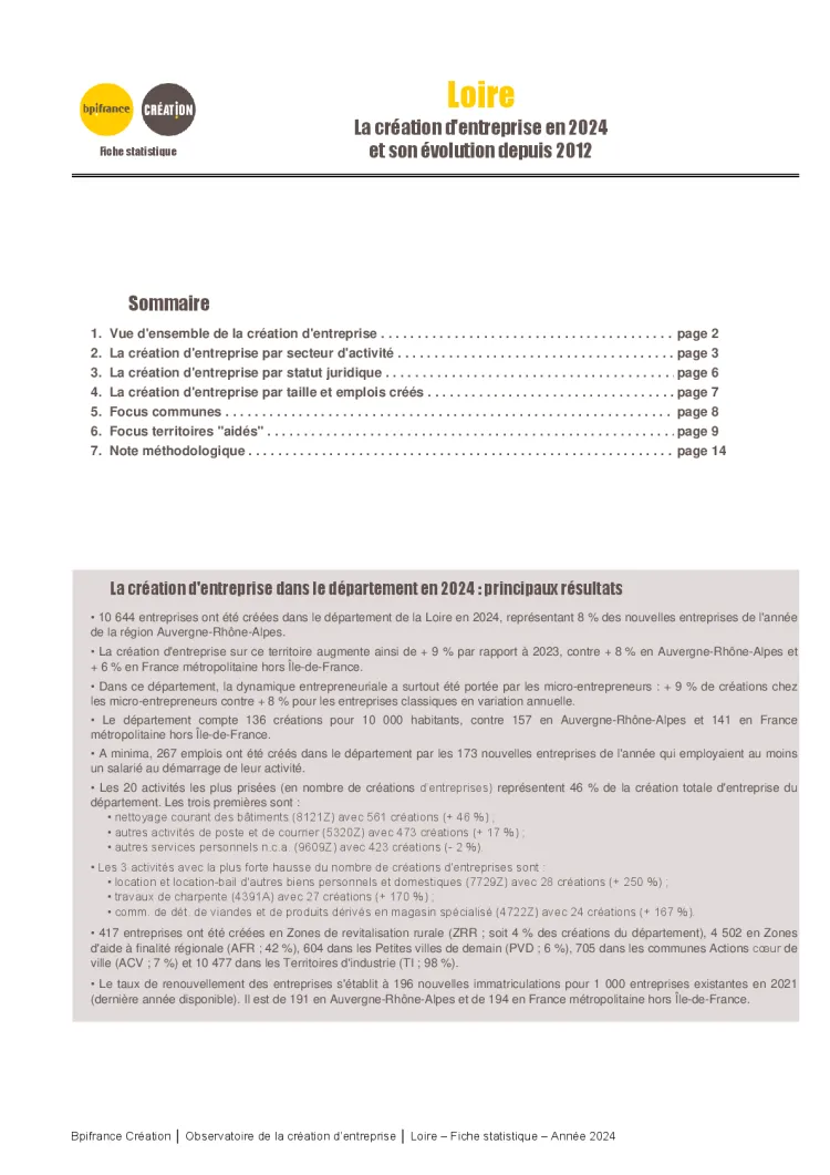 La création d'entreprise dans la Loire en 2024