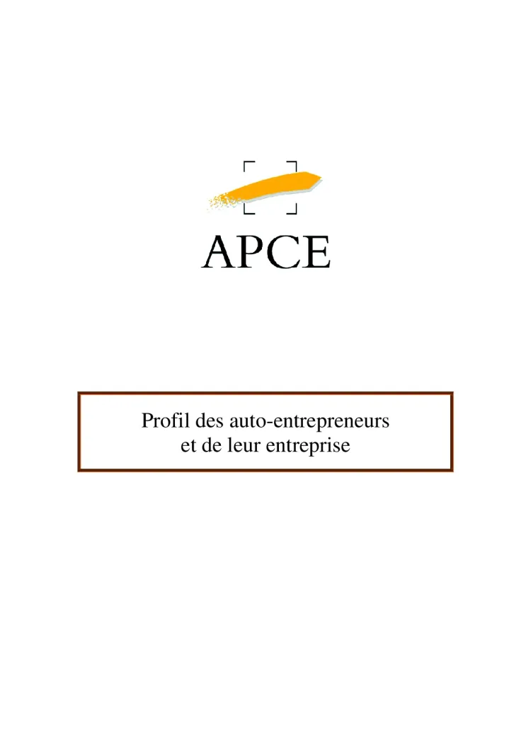 APCE : Profil des auto-entrepreneurs et de leur entreprise (2013 - Synthèse)