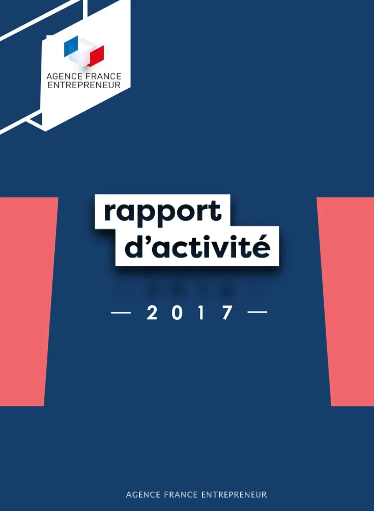 Rapport d'activité 2017 de l'AFE 