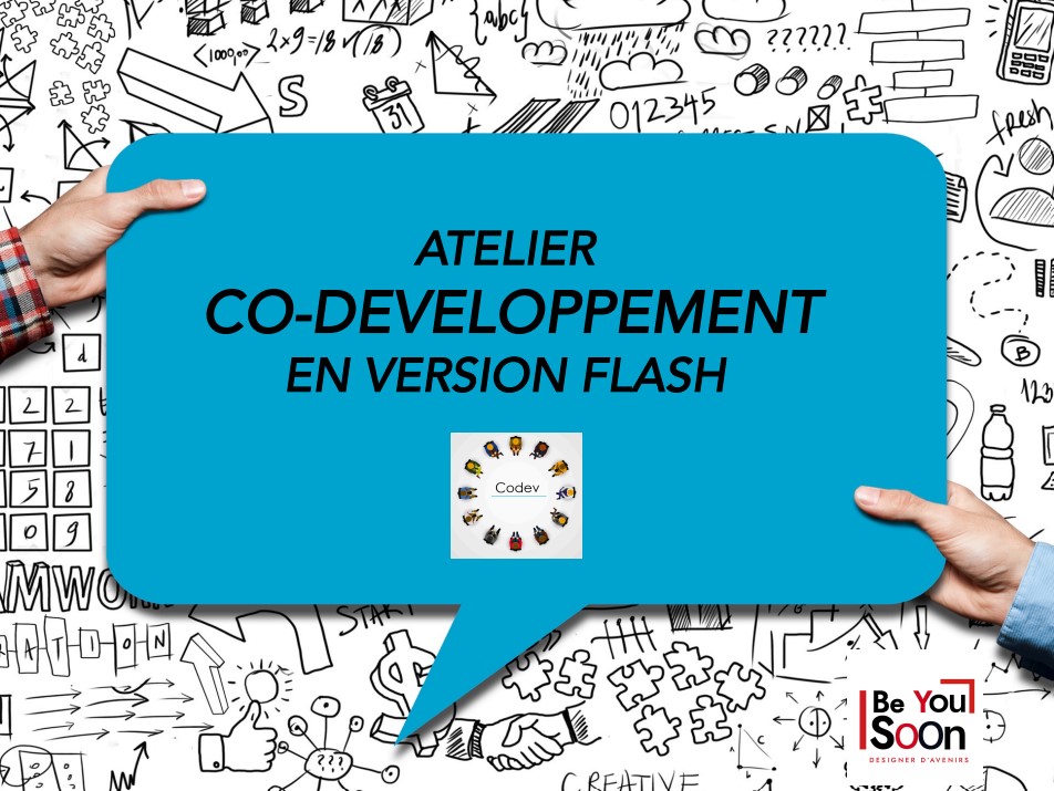 Visuel de couverture de la fiche pédagogique pour animer un flash codev