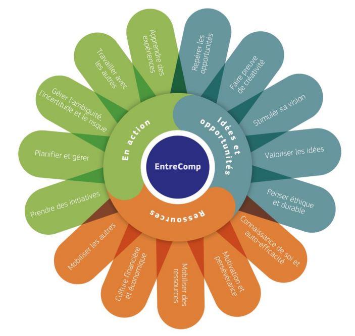 Les compétences organisées en étoile